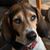 Cheri Husar's profile image