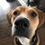 Jillian Bailey Wooden's profile image