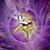 Kimberly Olson Partin's profile image