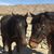 Dedee Murphey's profile image