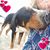 Heather Gavriluk's profile image