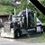 Tammy Thomas Lohner's profile image