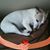 Joanie Martin's profile image