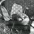 Karin K Smith's profile image