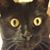 Kristi Davis's profile image