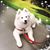 Michael John Frazier's profile image