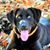 Janice Nell Jones's profile image