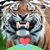 Elizabeth Albert's profile image