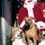 Mary Aiello's profile image