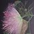 Trish Cosey's profile image