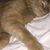 Steady Teddy's profile image