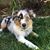 Shelie Lynn Carr Eastman's profile image