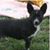 Elaine Janet Frawley's profile image