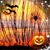 Tammy Heiman's profile image