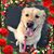 Gretchen Gantz's profile image