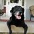 John R Griswold's profile image