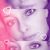 Bethany Anderson's profile image