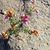 Barbara Kennedy Nitz's profile image