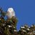 Barb Quist Schommer's profile image