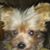 TK Hash's profile image