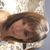 Diana Grisselle Wilkins's profile image