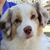 Jennifer Stagg's profile image