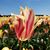Crystal Green-ruppel's profile image