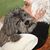 Carol A Fritz's profile image