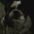 Lizzie Lee's profile image