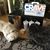 Maryjo Hicks Stevensen's profile image