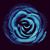 Nova Yuan's profile image