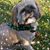 Aprile R Charron-Ingold's profile image