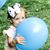 Alyson Whitley Hansard's profile image