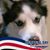 Tracy Kohut's profile image