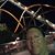 Bruce Clingan's profile image