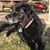 Cindy Walker Dunmire's profile image