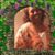 Nerissa Hairston's profile image