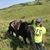 Anne Troyer Winkel's profile image