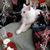 Judith Walters's profile image