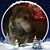 Sue Risner's profile image