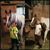 Misti Green Ivens's profile image