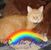 Bethany Hammond Hunt's profile image