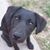 Rennie Mcright's profile image