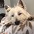 Janet Locklear's profile image