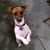 YanknConnie Hussey's profile image