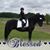 Lori Sovey-Strah's profile image