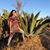 Maria Moreno's profile image