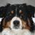 Katherine McGill's profile image