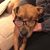 Gretchen Gyrich's profile image