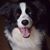 Lynn Bogart's profile image